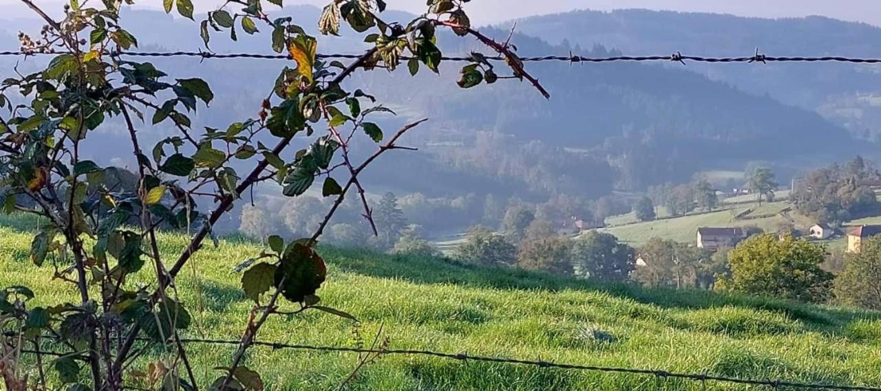 La Mazille , Cossy Vakantiestudio Met Zwembad In Zuid-Bourgogne Anglure-sous-Dun Ngoại thất bức ảnh